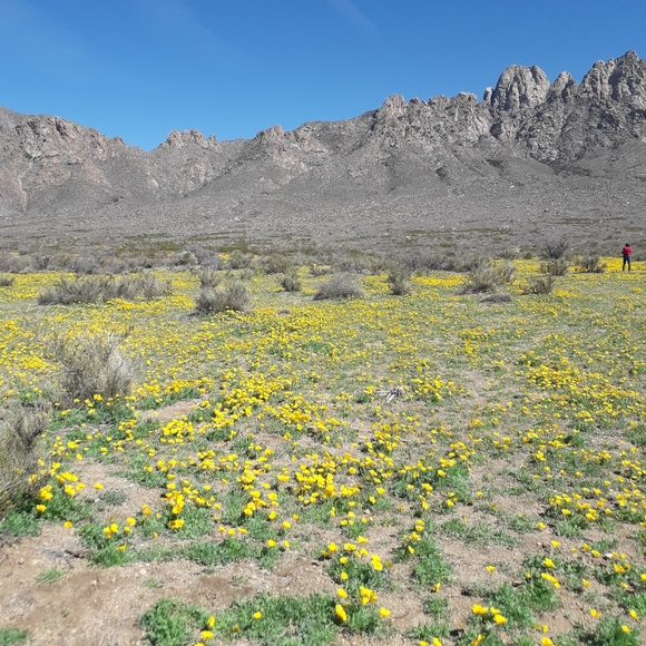 Meet your Posher, Brenda - Picture 10 of 13